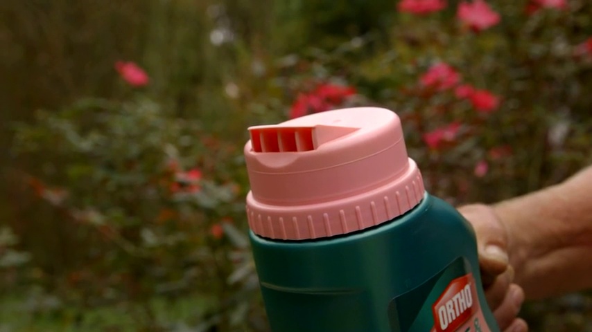 Amazon.com: Ortho Rose and Flower Insect Killer, 24-Ounce : Patio